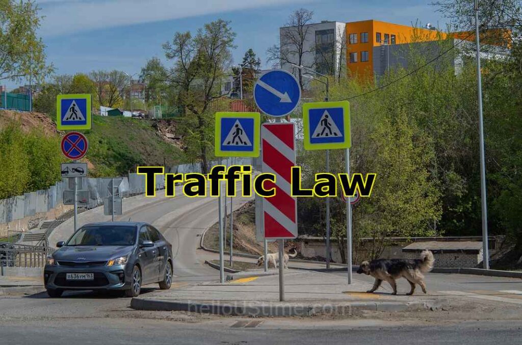 Traffic law
